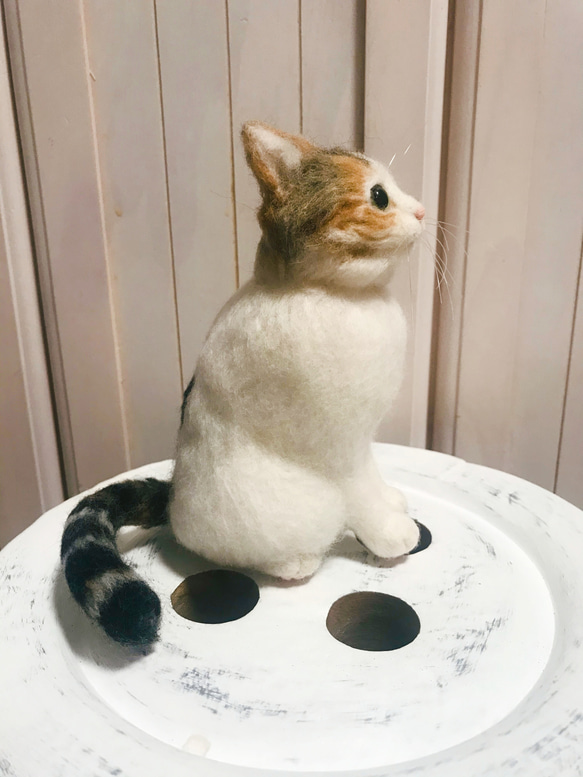 愛猫ちゃんそっくり人形(Sサイズ)オーダー作品:白三毛ちゃん 9枚目の画像