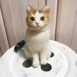 愛猫ちゃんそっくり人形(Sサイズ)オーダー作品:白三毛ちゃん 10枚目の画像