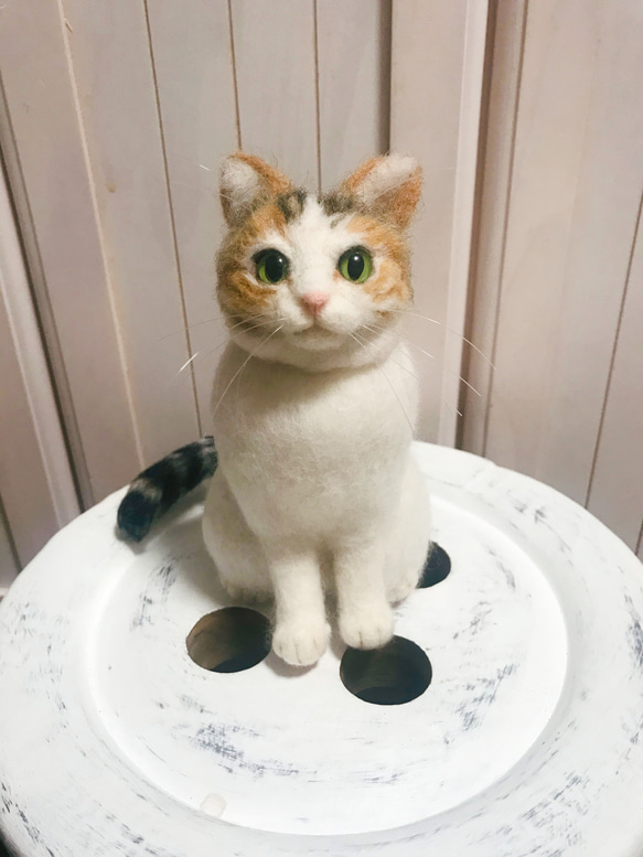 愛猫ちゃんそっくり人形(Sサイズ)オーダー作品:白三毛ちゃん 10枚目の画像