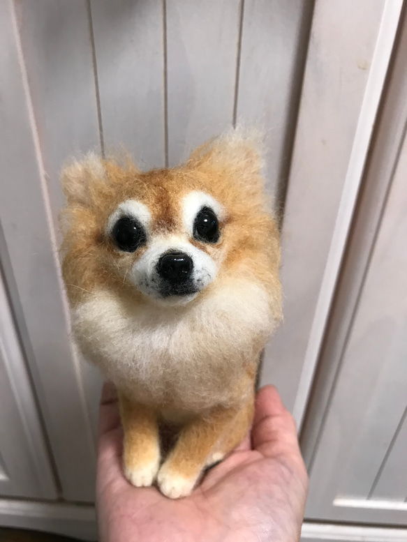 愛犬ちゃんそっくり人形(Sサイズ)オーダー作品:ロングコートチワワ  ちゃん 7枚目の画像