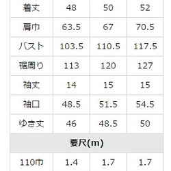 【型紙】★S~Lサイズ★ゆるTブラウス(パターン) 5枚目の画像