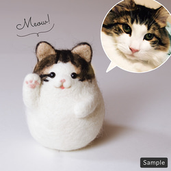 メルねこ様オーダー 9月26日順次発売｜CONVERSE × SHINYAKOZUKA 