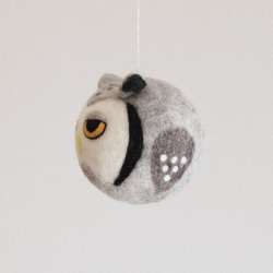 Owlball -アフリカオオコノハズク- 2枚目の画像
