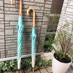 [訂單再次上架] 大型水下行走遮陽傘 Asanagi * 風格染色雨傘，防曬防雨* 第5張的照片