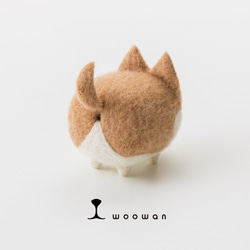 woowan [shiba] 第2張的照片