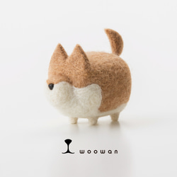 woowan [shiba] 第1張的照片