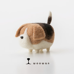 woowan【beagle】 1枚目の画像