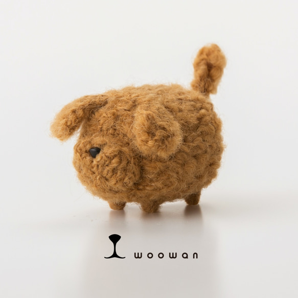 woowan【toy poodle】 1枚目の画像