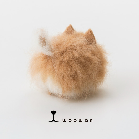 woowan【pomeranian】 2枚目の画像