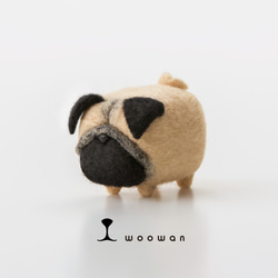 woowan【pug】 1枚目の画像