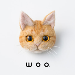 wooch【橘色虎斑貓】 第1張的照片