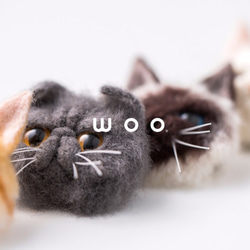 wooch【橘色虎斑貓】 第8張的照片