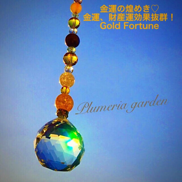 Gold Fortune 1枚目の画像