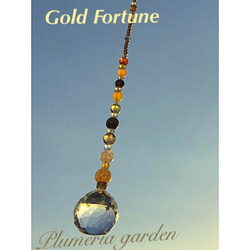 Gold Fortune 4枚目の画像
