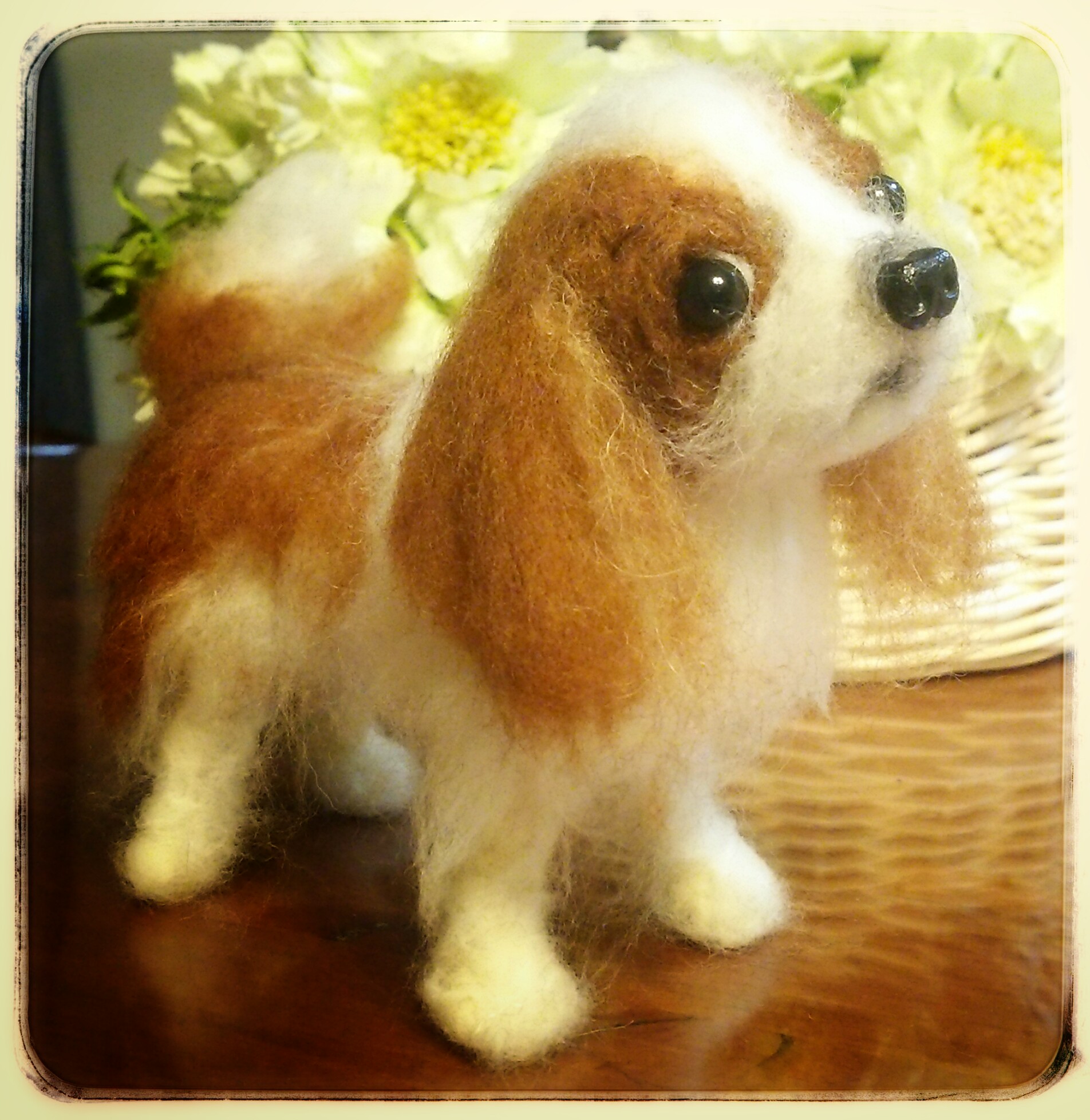 羊毛フェルト キャバリア 犬 全商品セール ハンドメイド | tunegocio.pe