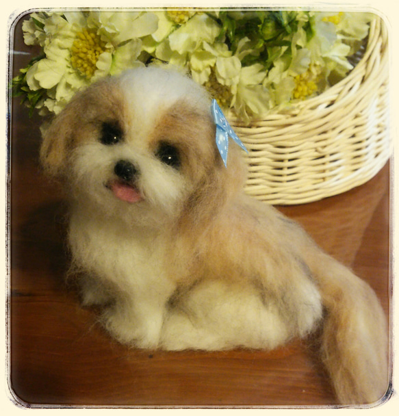 羊毛フェルト犬 エリー fab8e8e92c3f380ad52789446ebdf2