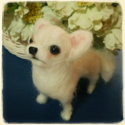 羊毛フェルト 犬 チワワ 眠るチワワちゃんが出来上がりました🐾 #羊毛フェルト #羊毛