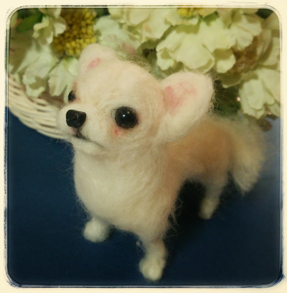 羊毛フェルト 犬 チワワ 7 羊毛フェルト なな絵布 通販 3372620