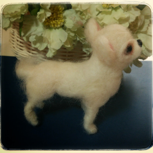羊毛フェルト 犬 チワワ 羊毛フェルト 犬 チワワ 7 羊毛フェルト なな絵布 通販 3372620
