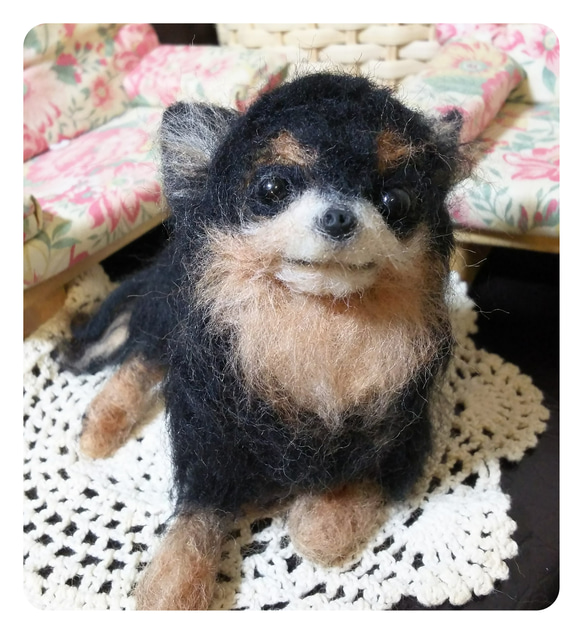 羊毛フェルト  犬  チワワ 11 1枚目の画像