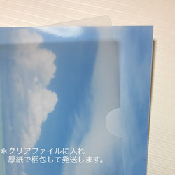 【送料無料】ふんわり癒しのグリーン アート写真(額なし） 3枚目の画像