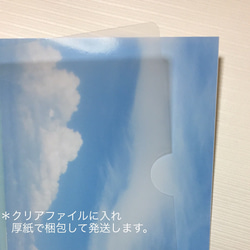 ☆再販17☆【送料無料】トロピカルフィッシュの楽園 アート写真（額なし） 3枚目の画像