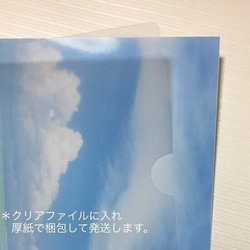 【送料無料】空高く 海広く  アート写真（額なし） 3枚目の画像