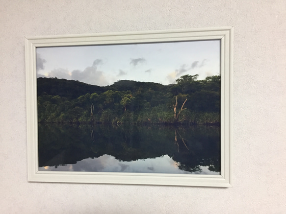 【送料無料】  水鏡のジャングル　アート写真（額なし） 2枚目の画像