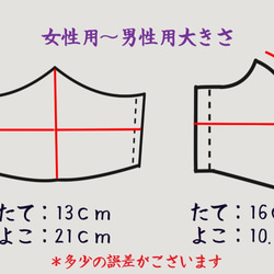 【送料無料】白地×菅楽器柄　コットンリネンのマスク「女性用～男性用」 6枚目の画像