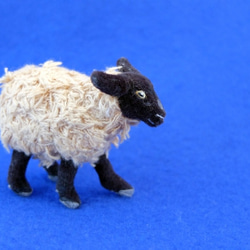 サフォーク羊　７ｃｍ 1枚目の画像