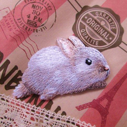 法國兔子白兔的貼花 第1張的照片