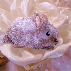 法國兔子白兔的貼花 第2張的照片