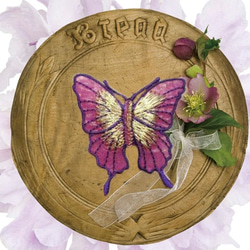 法國蝴蝶貼花透視紫色 第1張的照片