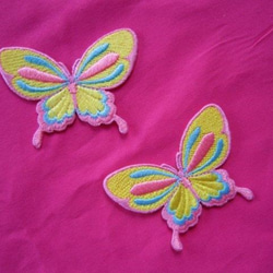 澳大利亞的蝴蝶貼花黃和粉紅色和藍色 第2張的照片