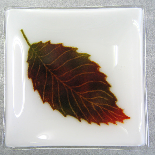 秋の葉っぱガラス皿 SD392 小皿 gon 通販 678459｜Creema
