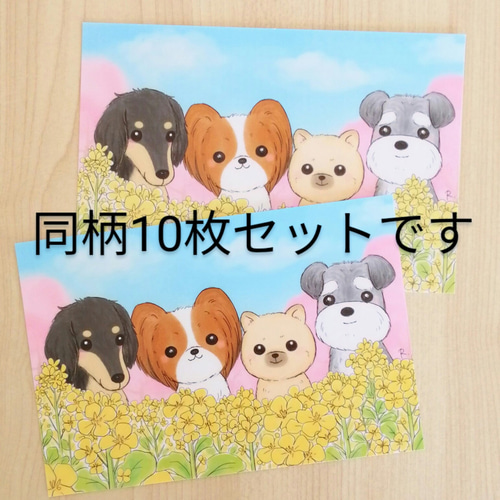 ワンコ似顔絵イラストポストカード 同柄10枚セット【オーダーメイド 