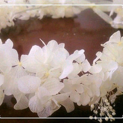 プリザーブドフラワーアジサイの花冠(白) 2枚目の画像