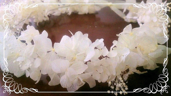 プリザーブドフラワーアジサイの花冠(白) 2枚目の画像
