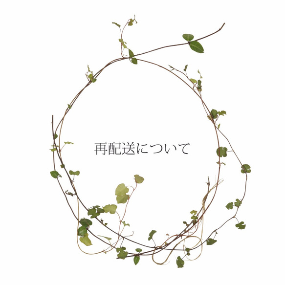 再配送に関しまして 1枚目の画像