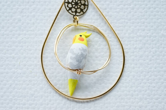 リング乗りオカメインコ（パイド）囲みアクセ付ピアス・イヤリング 4枚目の画像