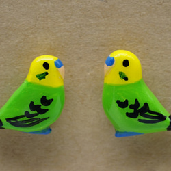 虎皮鸚鵡（綠色）樹脂加工的耳環和耳環 第5張的照片