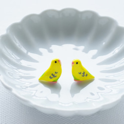 虎皮鸚鵡（黃色）樹脂加工的耳環和耳環 第2張的照片