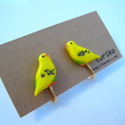 虎皮鸚鵡（黃色）樹脂加工的耳環和耳環 第8張的照片