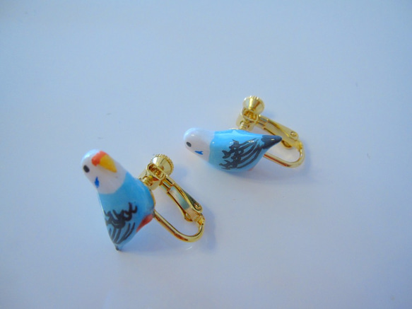 虎皮鸚鵡（淡藍色）樹脂加工無環耳環 第6張的照片