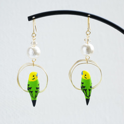環騎虎皮鸚鵡（綠色）耳環配棉珍珠耳環 第2張的照片