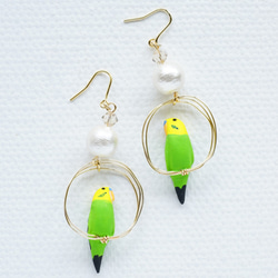 環騎虎皮鸚鵡（綠色）耳環配棉珍珠耳環 第3張的照片