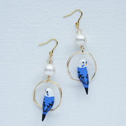 環騎虎皮鸚鵡（藍色）耳環配棉珍珠耳環 第5張的照片