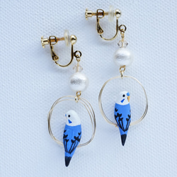 環騎虎皮鸚鵡（藍色）耳環配棉珍珠耳環 第10張的照片