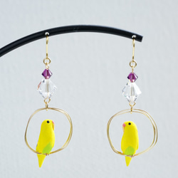 鑲施華洛世奇的戒指虎皮鸚鵡（黃色）耳環 第1張的照片