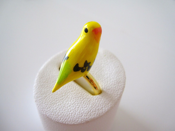 虎皮鸚鵡（黃色）戒指 第1張的照片